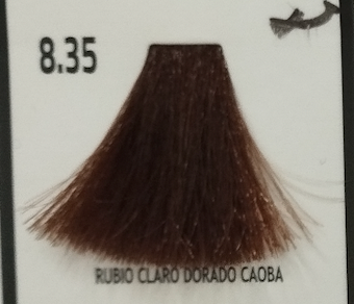 TINTE HAIR COLOR CREAM 8.35 RUBIO CLARO DORADO CAOBA KEEN STROK